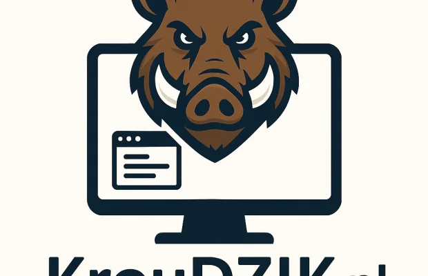 Tworzę strony i sklepy internetowe - Zdjęcie 1