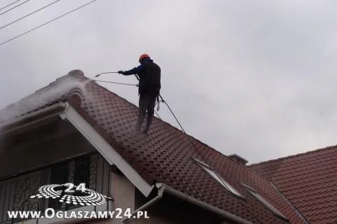 Mycie i malowanie dachów - Zdjęcie 1