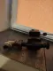 Kominek z płaszczem wodnym - 3