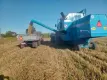 Sprzedam Bizon Rekord Siedlce mazowieckie - 7