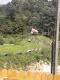Sprzedam gospodarstwo - 5