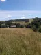 Sprzedam gospodarstwo - 7