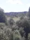 Sprzedam gospodarstwo - 4