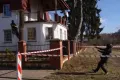 Ścinka sekcyjna drzew - 1