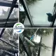 Tarnowo Podgórne - Mycie okien i przeszkleń | Witryn | - 8