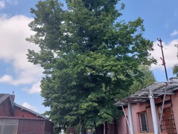 Nieruchomość w Dąbrowie Górniczej przy al. J Piłsudskiego