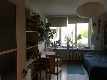 kawalerka do wynajecia