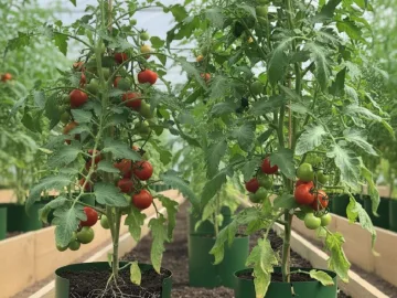 Doniczki Spinane do Rozsad – Chroń Korzenie! Producent doniczkispinane.pl