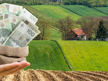 Kapitał Strategiczny dla Twojego Biznesu – Bez Barier i Bez Zbędnych Pytań
