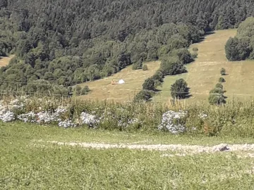 Sprzedam gospodarstwo